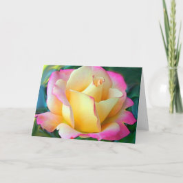 瞑想バラ カード