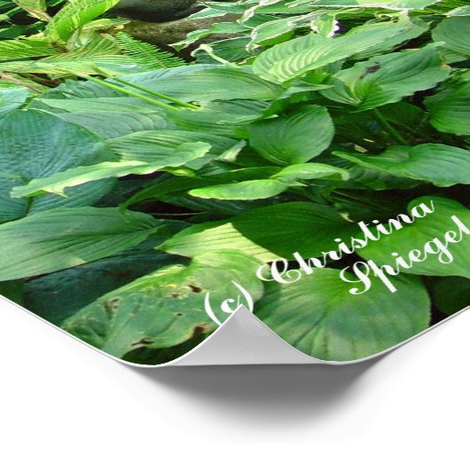 瞑想ブッダ園のポスター ポスター (角)