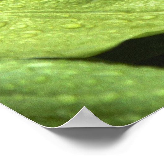 瞑想庭園の仏像 ポスター (角)