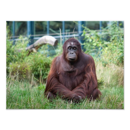 瞑想 フォトプリント            (正面)