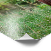 瞑想 フォトプリント            (角)