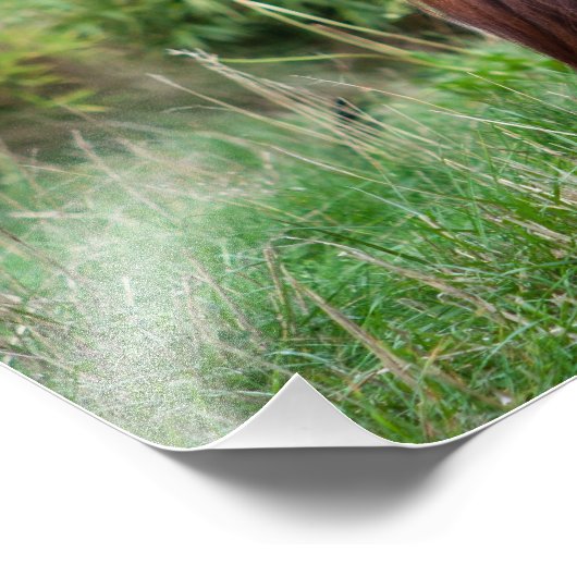 瞑想 フォトプリント            (角)