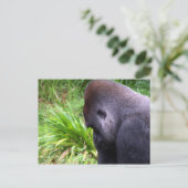 瞑想 ポストカード (スタンド正面)