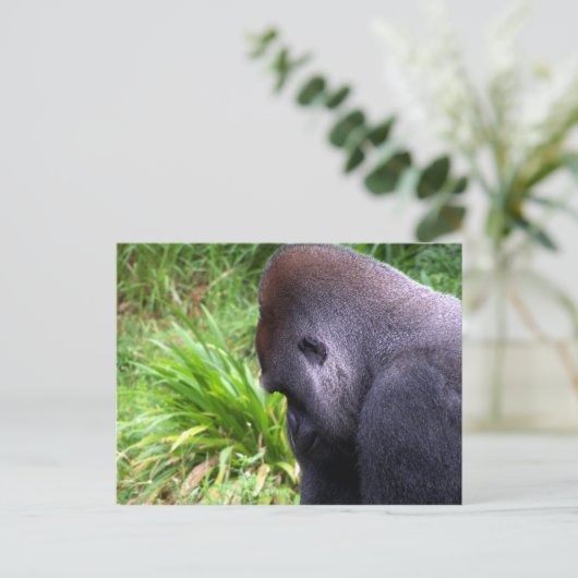 瞑想 ポストカード (スタンド正面)