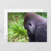 瞑想 ポストカード (正面/裏面)