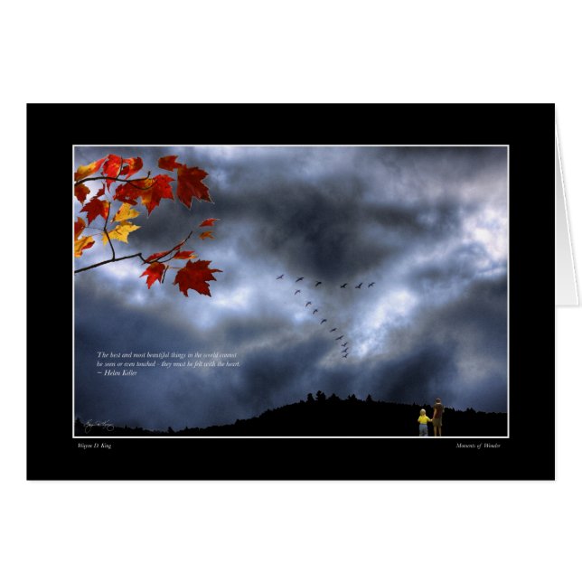 瞬間疑問に思 (正面横)