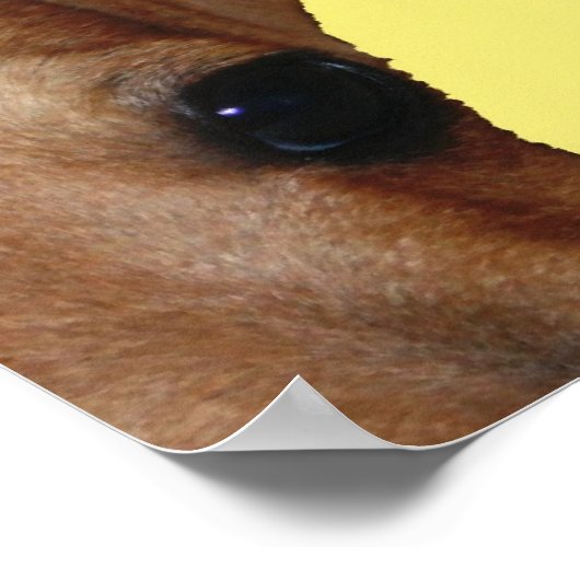 瞳孔 ポスター (角)