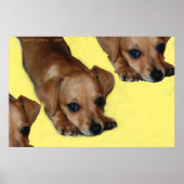 瞳孔 ポスター (正面)