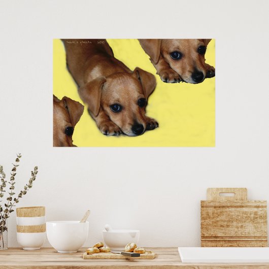 瞳孔 ポスター (キッチン)