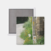 矢印とシェルマグネット マグネット (正面/裏面)