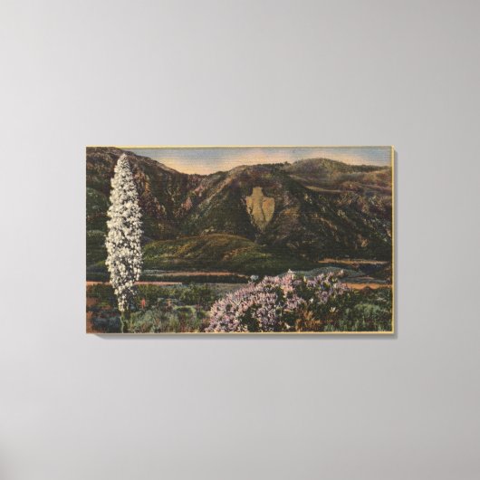 矢印のビュー – San Bernardino Mts, CA キャンバスプリント (正面)