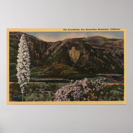 矢印のビュー – San Bernardino Mts, CA ポスター (正面)