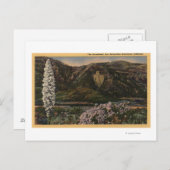 矢印のビュー – San Bernardino Mts, CA ポストカード (正面/裏面)