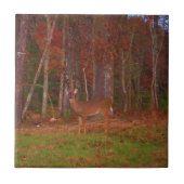 矢頭に鹿を追う タイル (正面)