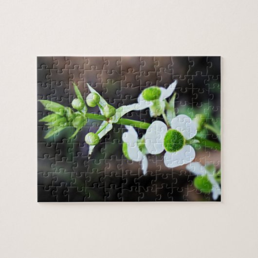 矢頭白花自然アート ジグソーパズル (横)