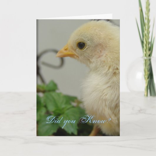 知ってた？ホット・シック、誕生日 カード (正面)