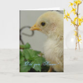 知ってた？ホット・シック、誕生日 カード (黄色い花)