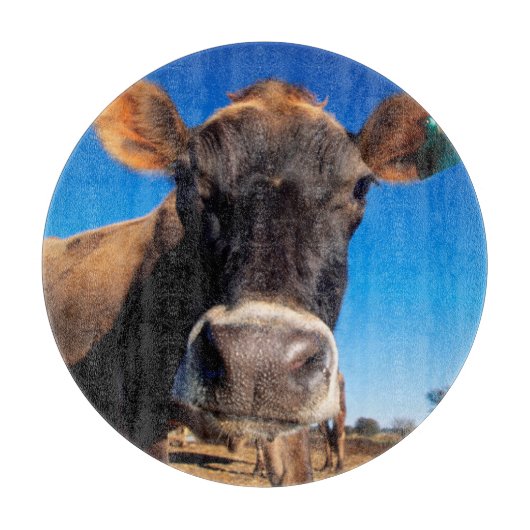 知りたがるジャージーの牛 カッティングボード (正面)