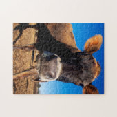 知りたがるジャージーの牛 ジグソーパズル (横)