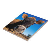 知りたがるジャージーの牛 タイル (側面)