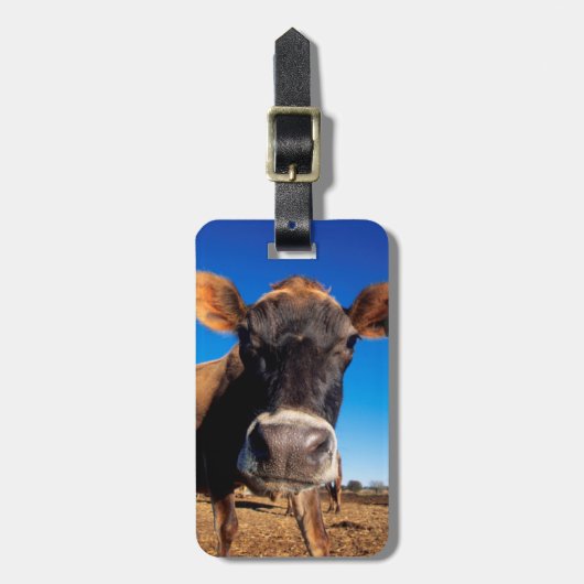 知りたがるジャージーの牛 ラゲッジタグ (正面縦)
