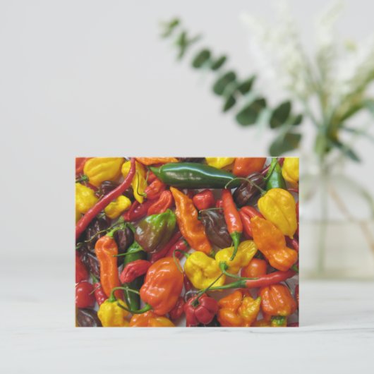 知力表 ポストカード (スタンド正面)