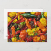 知力表 ポストカード (正面/裏面)