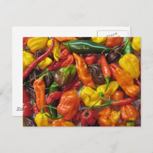 知力表 ポストカード (正面/裏面)