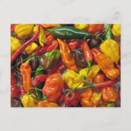 知力表 ポストカード