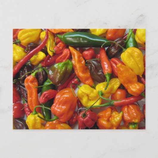 知力表 ポストカード (正面)