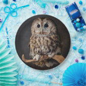 知恵のフクロウの記号 ペーパープレート (パーティー)