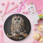 知恵のフクロウの記号 ペーパープレート (パーティー)