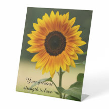 知恵の台座文字のひまわり