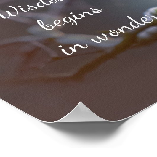 知恵の始ま疑問に思り//フクロウ ポスター (角)