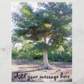 知恵の木 チラシ (裏面)