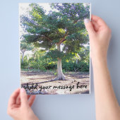 知恵の木 チラシ (手)