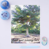 知恵の木 チラシ (シングル)