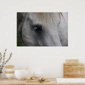 知恵の白い馬の視線 – ポスター (キッチン)