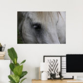 知恵の白い馬の視線 – ポスター (ホームオフィス)