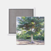 知恵の磁石の木 マグネット (正面/裏面)