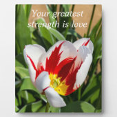 知恵の言葉イーゼル付き卓上プラーク フォトプラーク (正面)