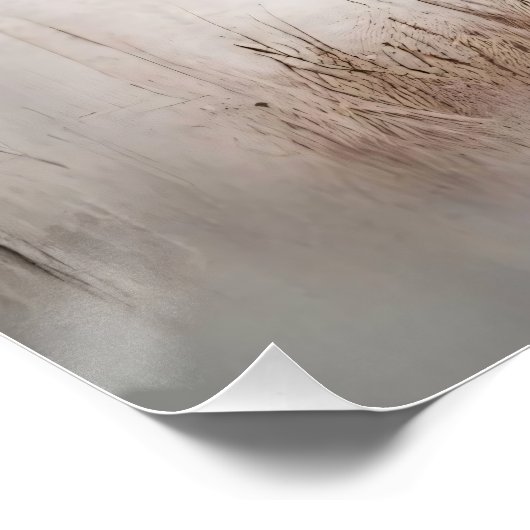 知恵の道 ポスター (コーナー)