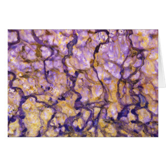 知恵の障壁の進歩の芸術カード