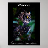 知恵 ポスター (正面)