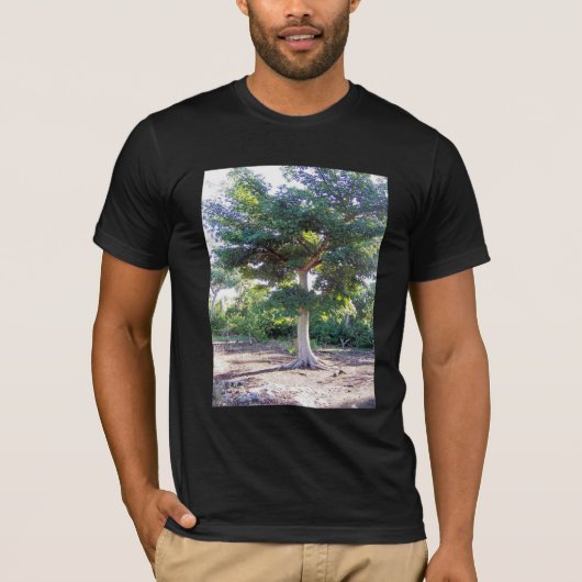 知恵Tシャツの木 Tシャツ (正面)