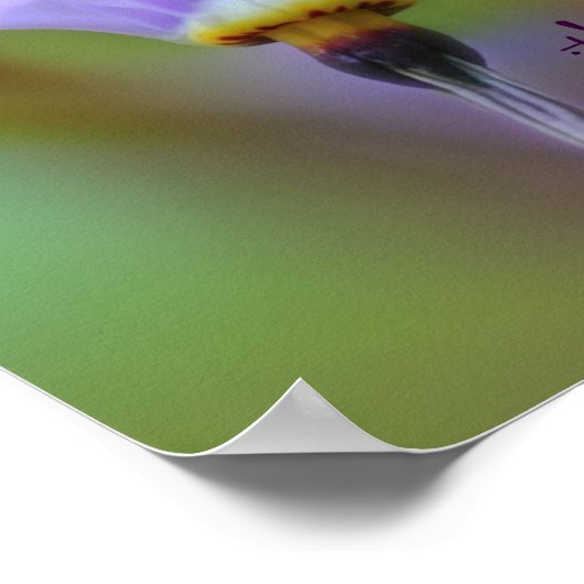 知覚引用文紫感動的花 ポスター (角)