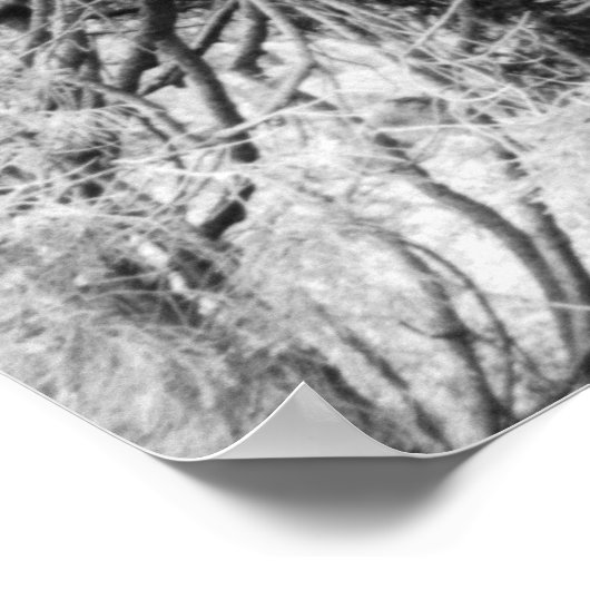 知識 ポスター (角)