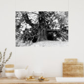 知識 ポスター (キッチン)