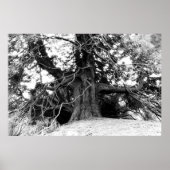 知識 ポスター (正面)