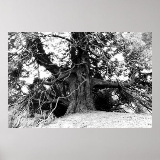 知識 ポスター (正面)